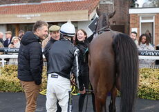 British Stallion Studs EBF 'NH' Nov Hurdle