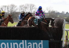 RSA Syndicate Mares' Handicap Chase