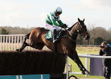 Farne (Paddy Brennan)
