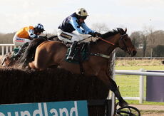RSA Syndicate Mares' Handicap Chase