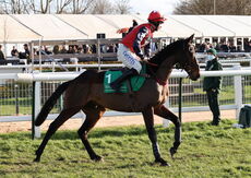Feldon Dunsmore Budbrooke Handicap Chase