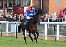 Warwick 5 November 2021