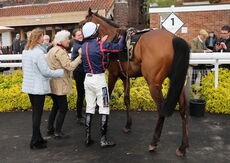 In This World (Harry Skelton)