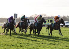 British Stallion Studs EBF Mares' 'NH' Flat Race