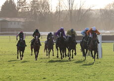 British Stallion Studs EBF Mares' 'NH' Flat Race