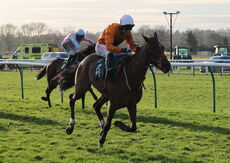 Lutinebella (Paddy Brennan)