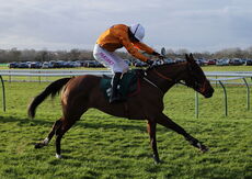 Lutinebella (Paddy Brennan)