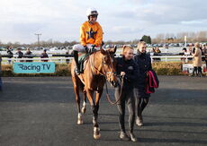 British Stallion Studs EBF Mares' 'NH' Flat Race