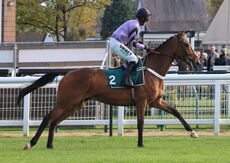 Franco "Firework" Esposito Novices' Hurdle
