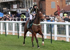 Warwick 13 March 2022