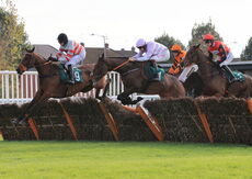 Franco "Firework" Esposito Novices' Hurdle
