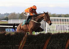 Franco "Firework" Esposito Novices' Hurdle
