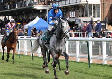 Racing TV Novices' Hurdle