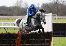 Racing TV Novices' Hurdle