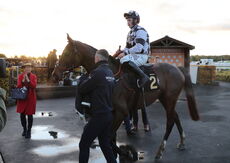 Racing TV Novices' Hurdle