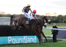 EBF Mares' Novices' Chase
