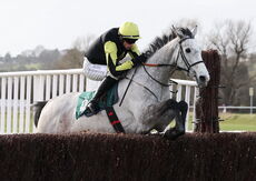 EBF Mares' Novices' Chase
