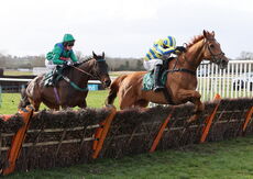 Mickey Boughey Handicap Hurdle