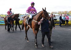 Mickey Boughey Handicap Hurdle