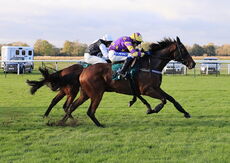 Opening Bid (Tom Scudamore)