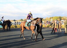 Jewson Handicap Hurdle