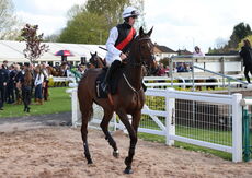 Racing TV Handicap Chase