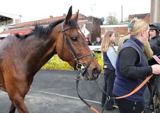 Eventmasters Mares' 'NH' Novices' Hurdle
