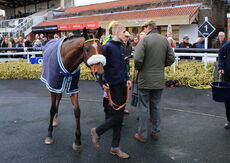Jewson Conditional Jockeys' Handicap Chase.