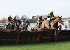 Olly Murphy Racing "NH" Novices' Hurdle