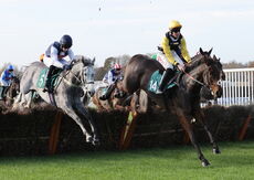 Olly Murphy Racing "NH" Novices' Hurdle
