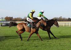Olly Murphy Racing "NH" Novices' Hurdle