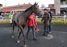 Olly Murphy Racing "NH" Novices' Hurdle