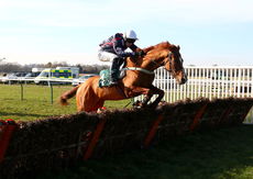 racingtv.com Juvenile Hurdle
