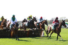 Coventry City Football Club Maiden Hurdle Div 2