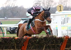 Racing TV Mares' Novices' Hurdle.