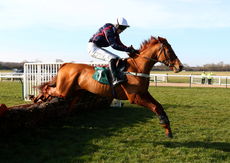 racingtv.com Juvenile Hurdle