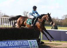 EBF/TBA Mares' Novices' H'cap Chase