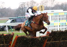 Racing TV Mares' Novices' Hurdle.