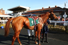 racingtv.com Juvenile Hurdle