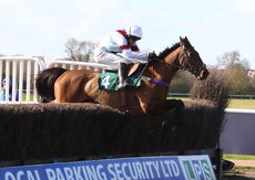 EBF/TBA Mares' Novices' H'cap Chase