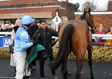 Racing TV Edward Courage Cup Chase