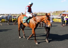 Racing TV Novices' H'cap Chase