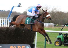 McCoy Contractors Hampton Novices' Chase.