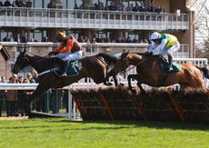 Event Support Team Nov Hurdle