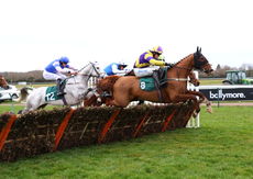 Warwick 12 January 2019