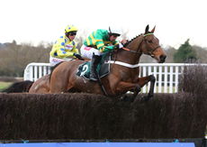 McCoy Contractors Hampton Novices' Chase.