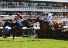 Event Support Team Nov Hurdle