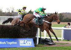 McCoy Contractors Hampton Novices' Chase.
