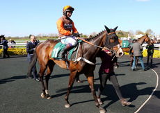 Elusive Belle is led into the winners enclosure.