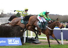 McCoy Contractors Hampton Novices' Chase.
